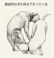 挨拶するときの姿勢