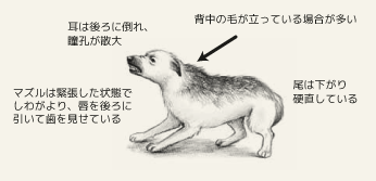 防衛的な攻撃モードの状態